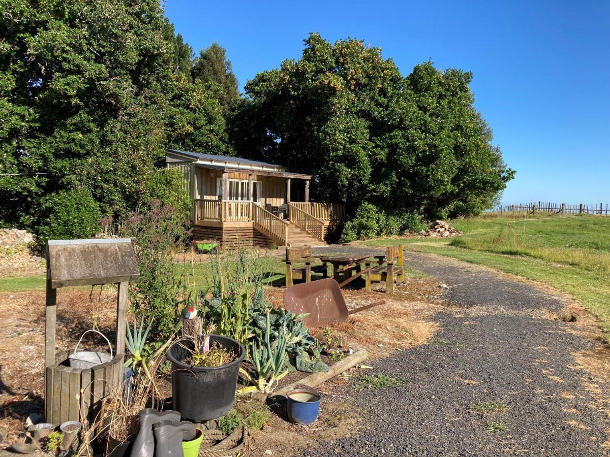 Ohauiti The Treehutヴィラ エクステリア 写真