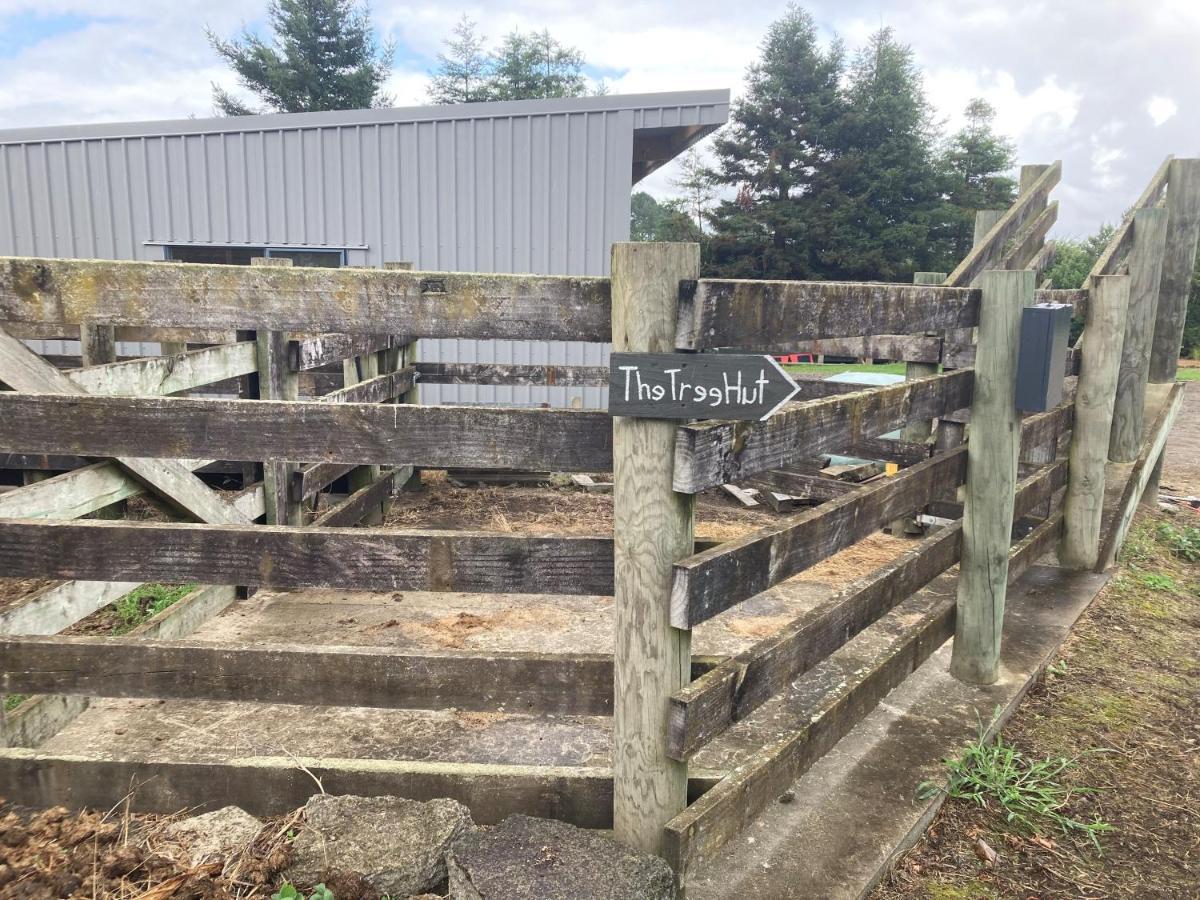 Ohauiti The Treehutヴィラ エクステリア 写真