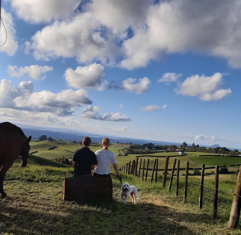 Ohauiti The Treehutヴィラ エクステリア 写真